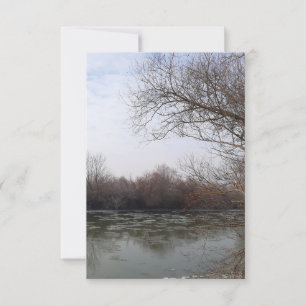 Ive au bord de la rivière en hiver