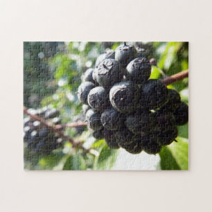 Ivy Berries Puzzle