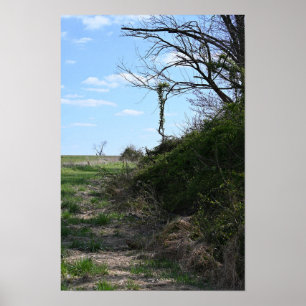 Ivy Hanging pour Branches Poster