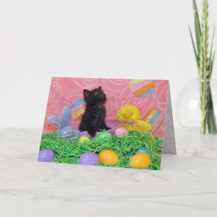 Iz Da Lapin Pâques Ici Pourtant Carte De Voeux