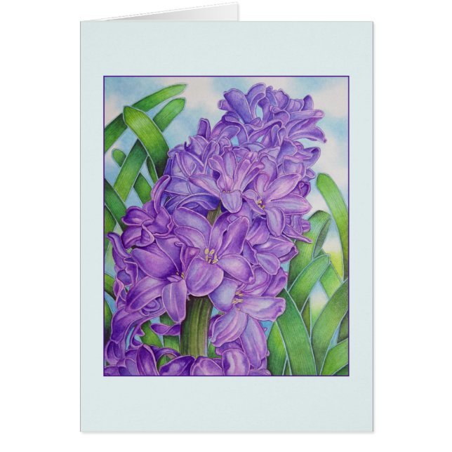 Jacinthe (Devant)