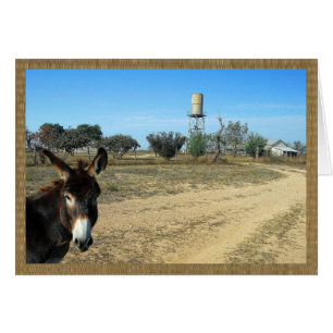 Jack le burro sur le ranch