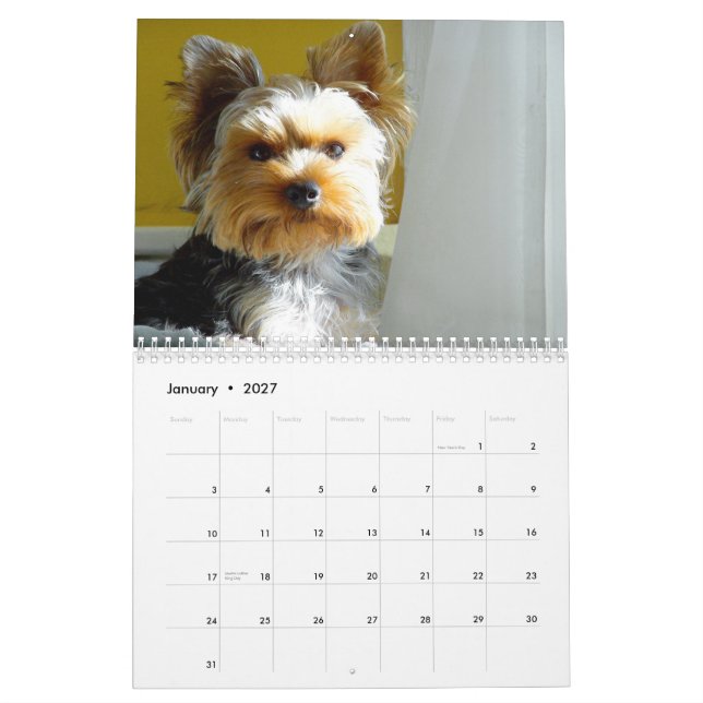 "Jack" le Yorkie - calendrier 2014 (Jan 2027)