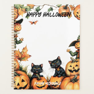 Jack-o'-lantern, Chats noirs et Écarce
