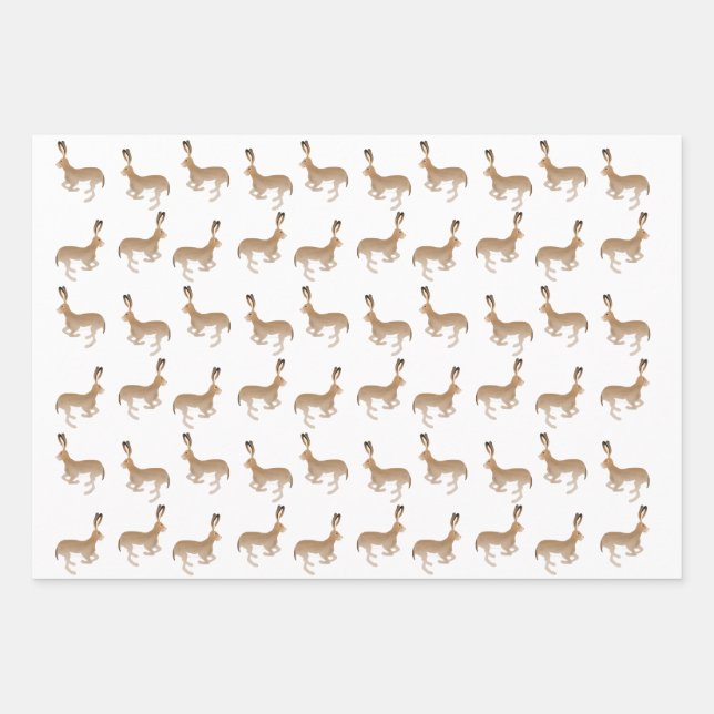 Jack Rabbits Envelopper des feuilles de papier (Devant)