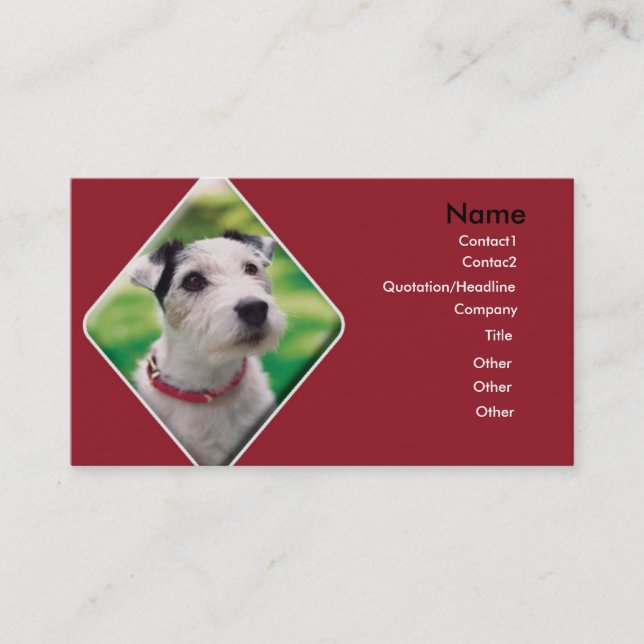 Jack Russell Carte de visite de chiens (Devant)