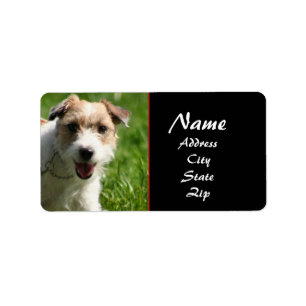 Jack Russell étiquette de adresse