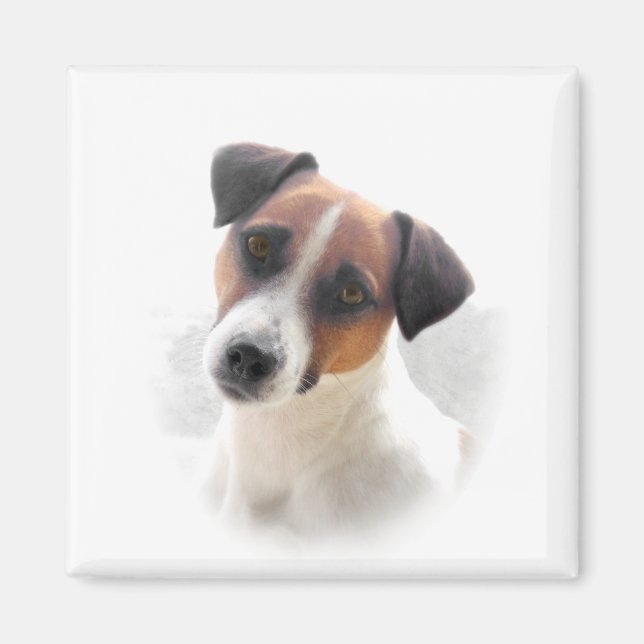 Jack Russell Magnet (Devant)