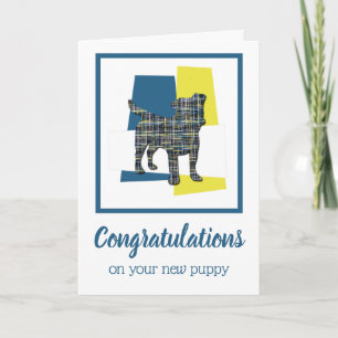 Jack Russell Puppy Félicitations Carte de voeux