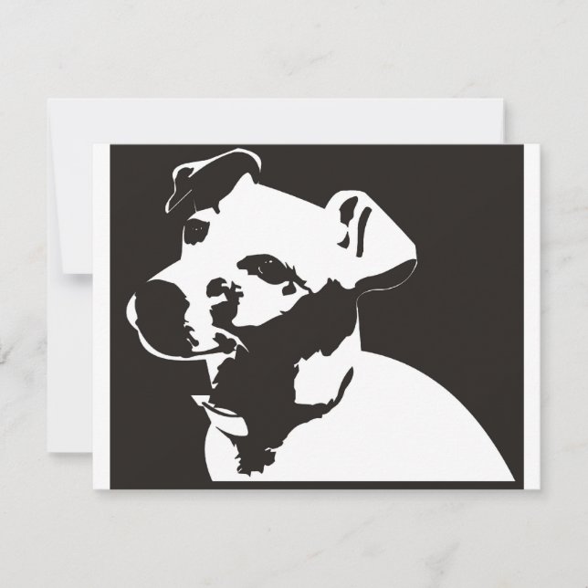 Jack Russell Terrier (Devant)