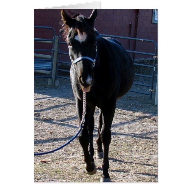 Jack Sticks Sa Langue (Devant)