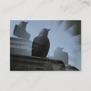 Jackdaw Bird Carte de visite