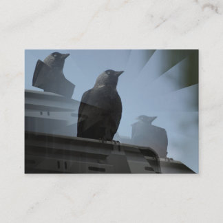 Jackdaw Bird Carte de visite