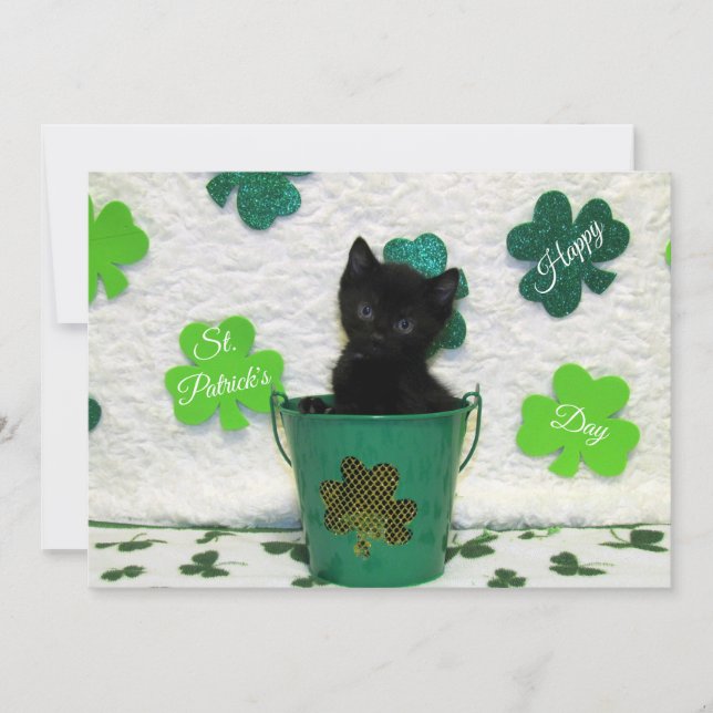 Jack's St. Patrick's Day Chat/ Kitten - Carte Plat (Devant)