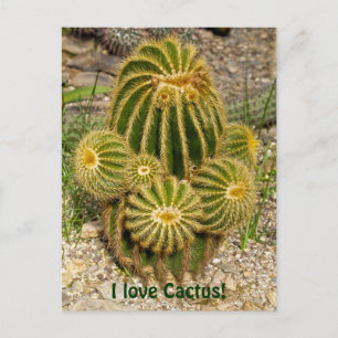 J'adore la carte postale de cactus