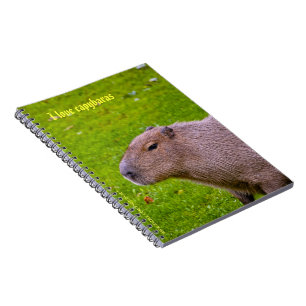 J'adore le Cahier des capybaras