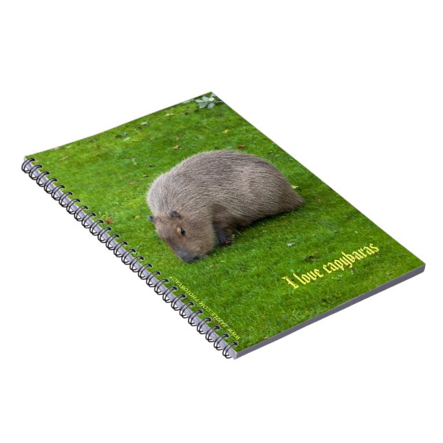 J'adore le cahier des capybaras (Côté Droit)