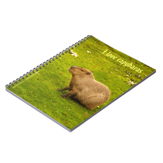 J'adore le Cahier des capybaras (Côté gauche)