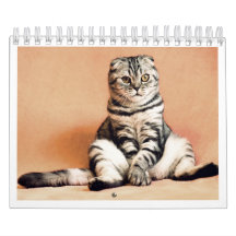 J'adore le calendrier des chats 2026