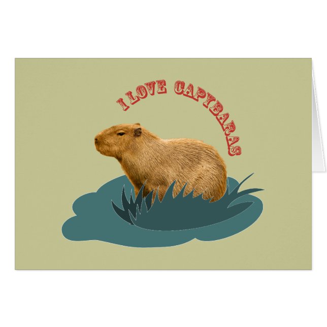 J'adore les capybaras (Devant horizontal)