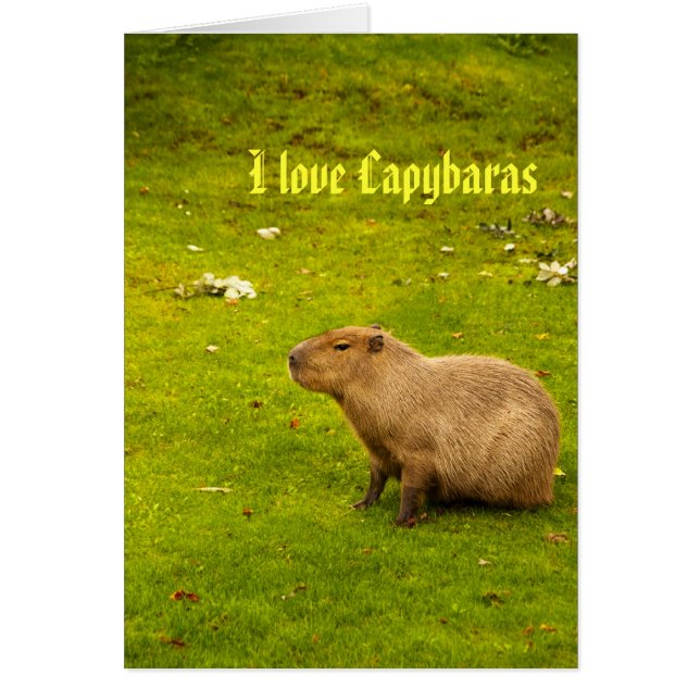 J'adore les cartes de capybaras (Devant)