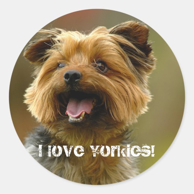 J'adore les Yorkies ! Autocollant (Devant)