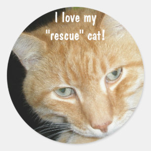 J'adore mon chat "secourt" ! Autocollants
