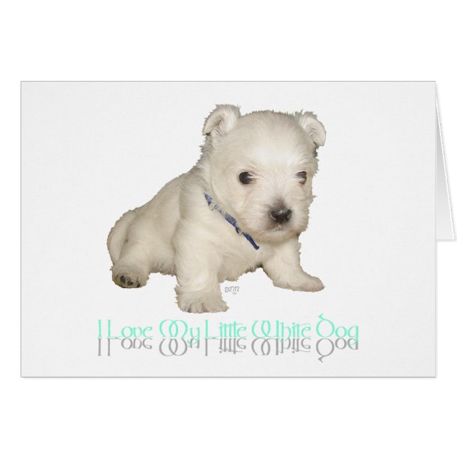 J'adore mon petit chien blanc - chiot Westie (Devant horizontal)