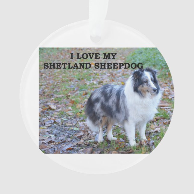 J'adore mon Shetland Sheepdog (devant)