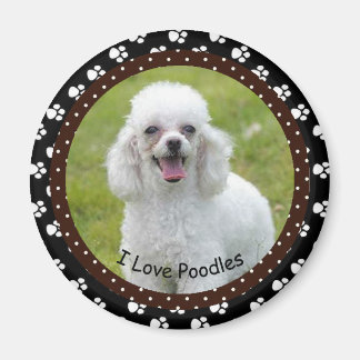 J'adore Poodles Magnet