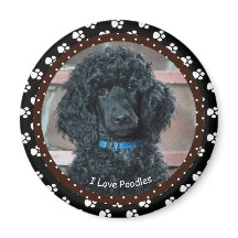 J'adore Poodles Magnet