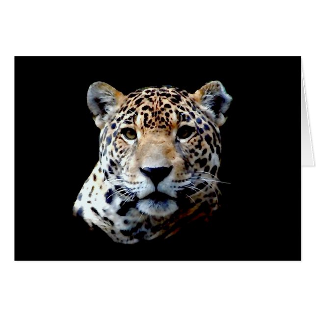 Jaguar (Devant horizontal)