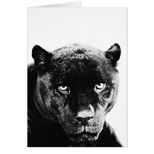 Jaguar Black Panther (Devant)