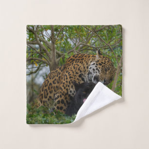 Jaguars In Love