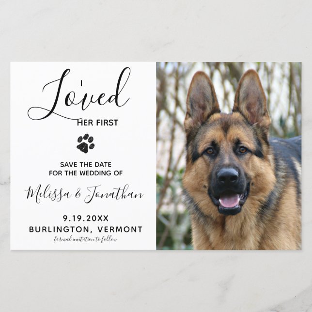 J'Ai Aimé Son Premier Mariage De Chien À Part La D (Devant)
