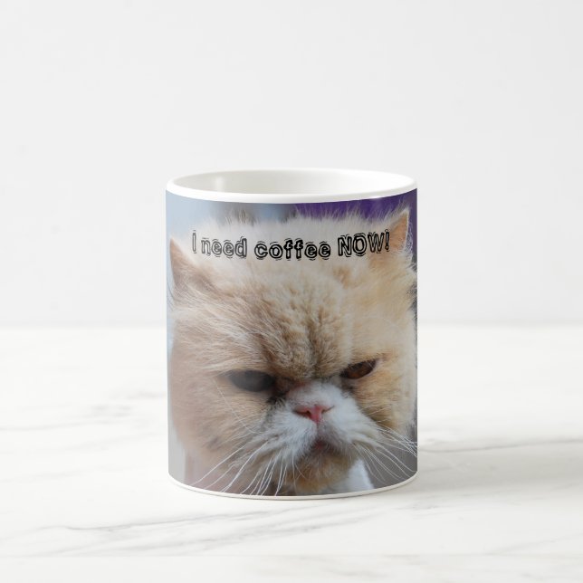 J'ai besoin de la tasse de café de chat persan de (Centre)