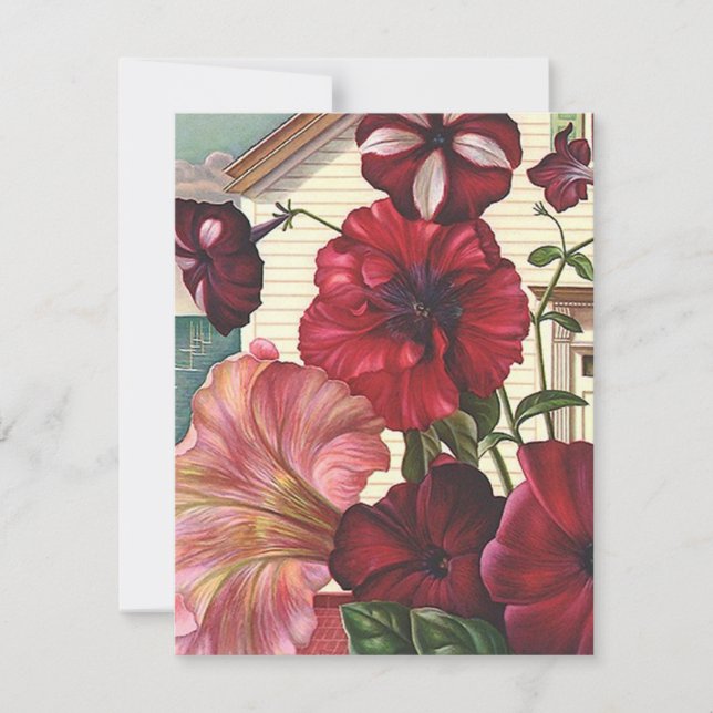 J'ai déménagé les fleurs de Faire-part Petunia (Devant)