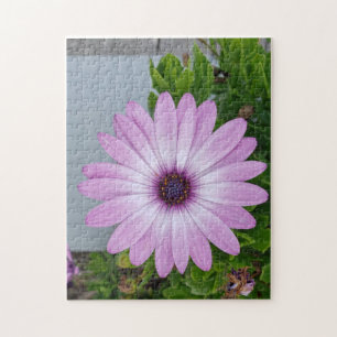 J'ai du temps sur ton puzzle de fleurs de mains