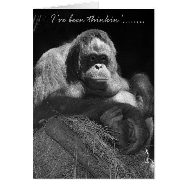 J'Ai Été Pensé' (Devant)