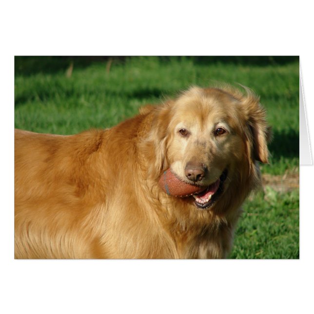 J'ai mon football (Devant horizontal)