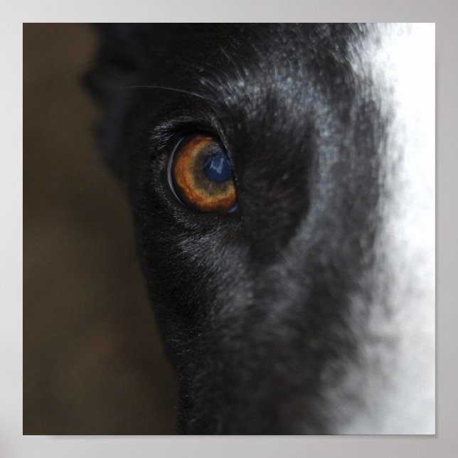 J'ai mon oeil sur toi - Poster (Devant)