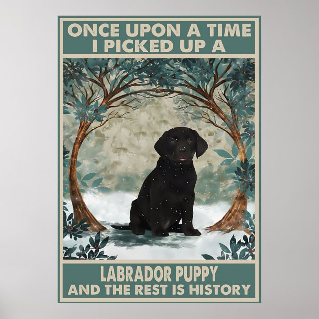 J'ai pris une affiche de chiot du labrador (Devant)