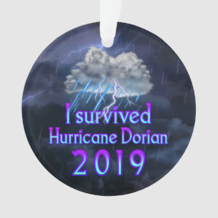 J'ai survécu à l'ouragan Dorian cloud
