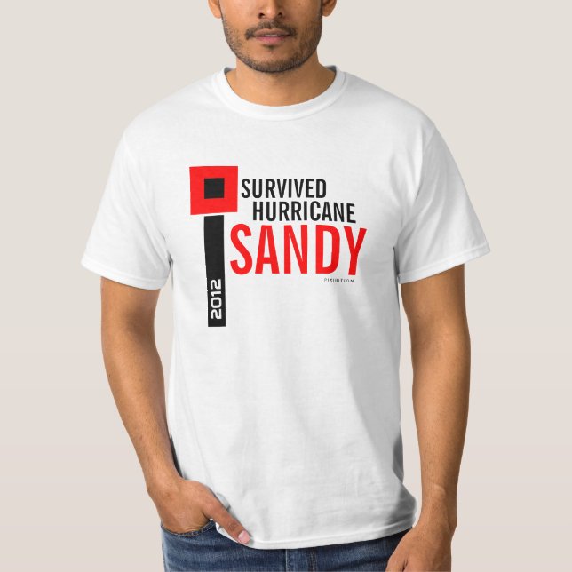 J'ai survécu au T-shirt 9 de Sandy d'ouragan (Devant)