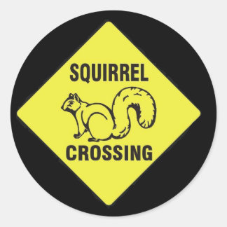 J'ai tapé sur un autocollant d'écureuil