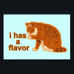 J'ai une saveur, Lol Cat Poster<br><div class="desc">drôle !</div>