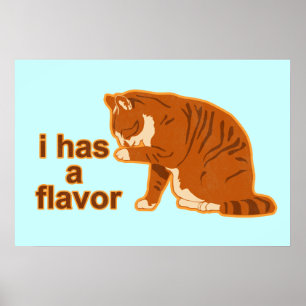 J'ai une saveur, Lol Cat Poster