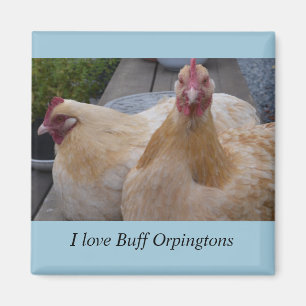J'aime… Aimant de couleur chamois de poulet