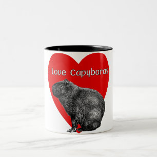 J'Aime Capybara Mugs