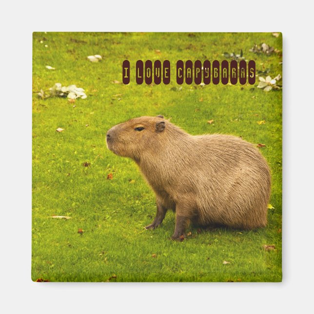J'aime Capybaras Magnet (Devant)